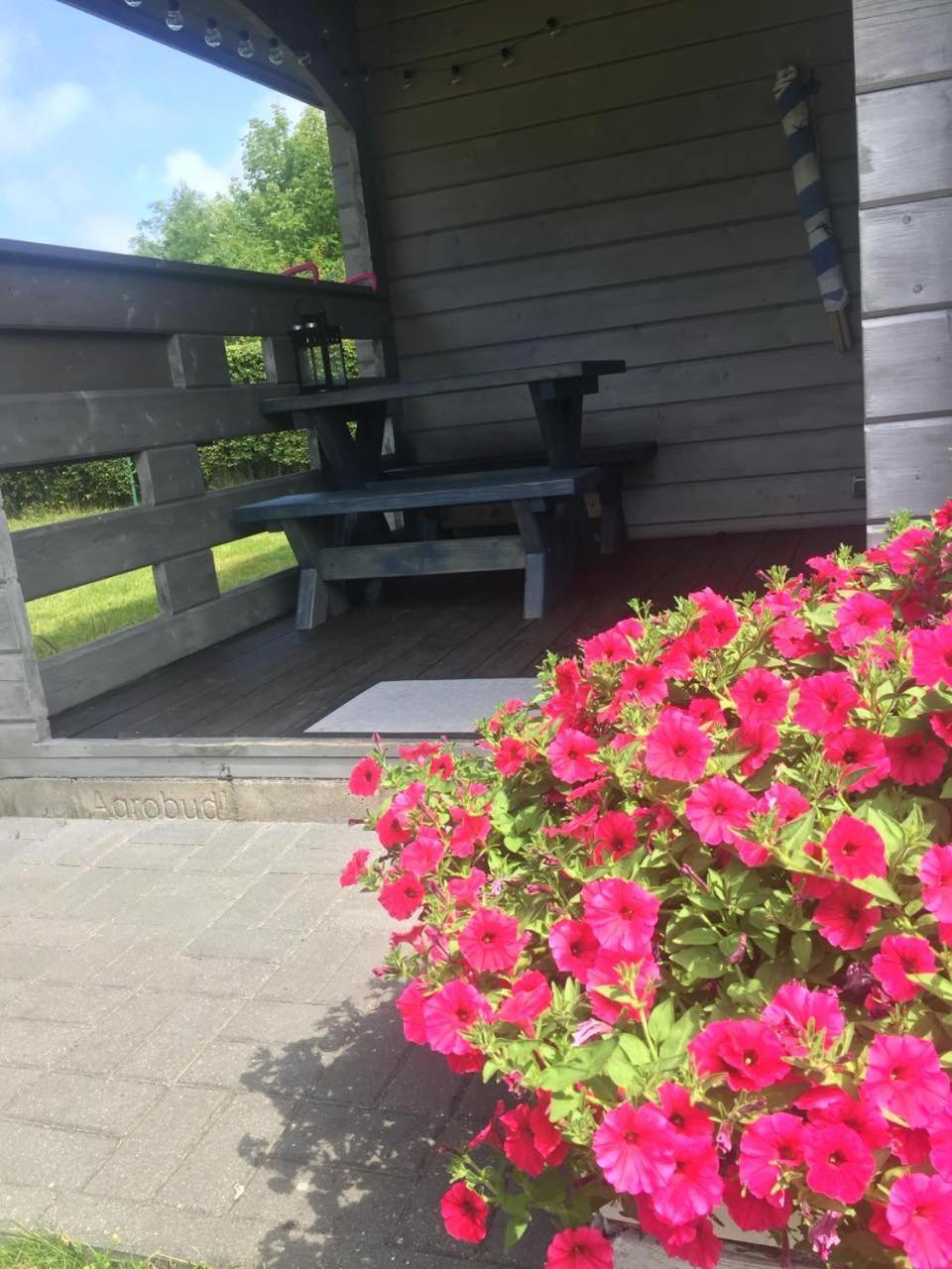 Domki Szenodo Na Jodlowej Debina  Exteriér fotografie